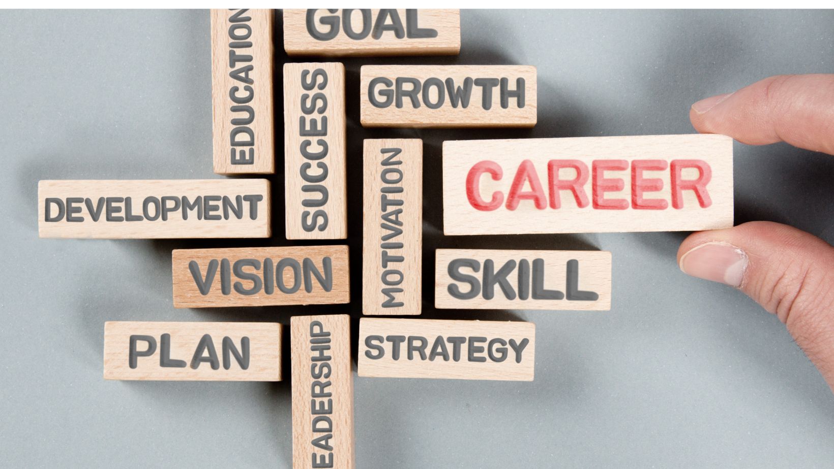 Career Development Courses